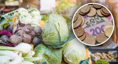 Продавці масово знижують ціни: в Україні дешевшає овоч нового врожаю