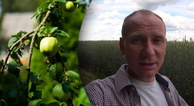 Чим обробити яблуню влітку Чим обробити яблуню влітку