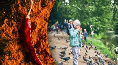 Перец чили для птиц