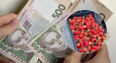 Виробники змушені знижувати ціни: в Україні стрімко дешевшає популярна ягода