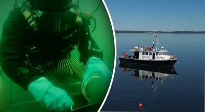 Археологи зробили сенсаційне відкриття біля узбережжя Данії Археологи зробили сенсаційне відкриття біля узбережжя Данії