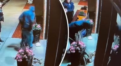Мужчина сделал нечто неожиданное, спасая свою собаку после аварии
