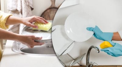 Чому німці ніколи не ополіскують посуд після миття: відповідь здивує багатьох