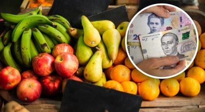 Врожай буде більшим, а ціни підуть донизу: який фрукт в Україні подешевшає