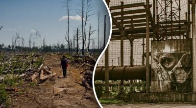 Животные в Чернобыле резко изменились после начала войны Животные в Чернобыле резко изменились после начала войны