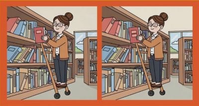 Тест на IQ: нужно найти 3 отличия на картинке библиотекаря с книгами за 43 с