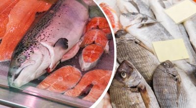 Как за секунды распознать несвежую рыбу: на что смотреть перед покупкой
