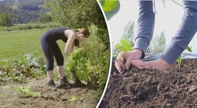 Календар посіву на липень 2026 року: у які дні врожай буде кращим