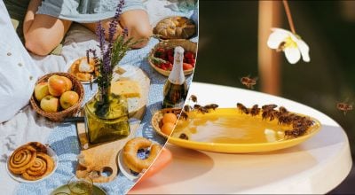 Як відлякати бджіл та ос без хімії: прості лайфхаки для літнього пікніка