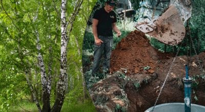 Замість постійної відкачки: які дерева природно осушують вигрібну яму