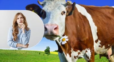 Забуте українське слово 'блуква': що воно насправді означає