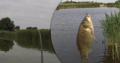 Риба сама проситиметься на гачок: найкращі дні для риболовлі у червні 2026