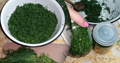 Більше ніякого заморожування — як зберегти аромат кропу на всю зиму