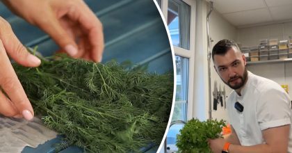 Зелень будет долго оставаться свежей: повар поделился лайфхаком ресторанов