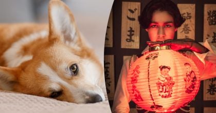 Китайский гороскоп на завтра, 11 июня: Собакам - застенчивость, Лошадям - свидания