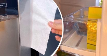 Для чого в холодильник кладуть аркуш паперу: лайфхак вирішує поширену проблему