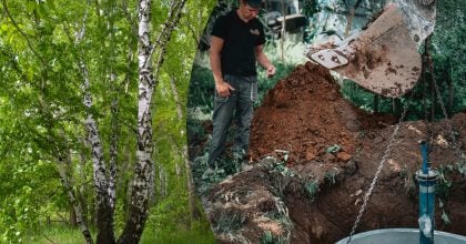 Замість постійної відкачки: які дерева природно осушують вигрібну яму