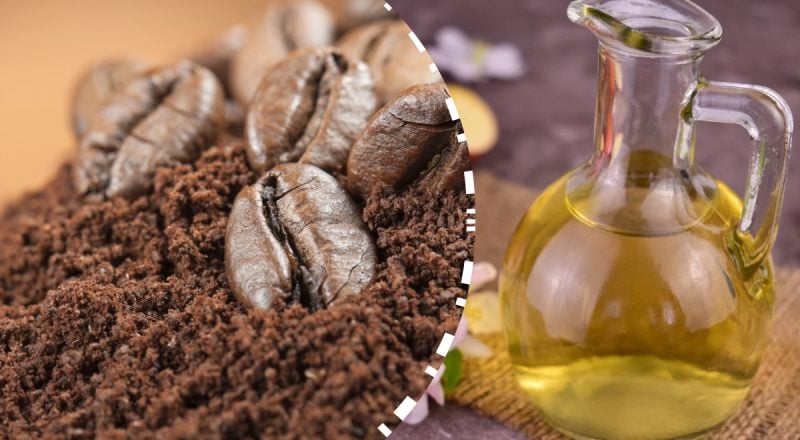 Навіщо кавову гущу поливають оцтом: кухонний трюк, який вразить результатом