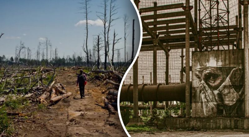Чорнобиль під час окупації здивував вчених: що показали камери