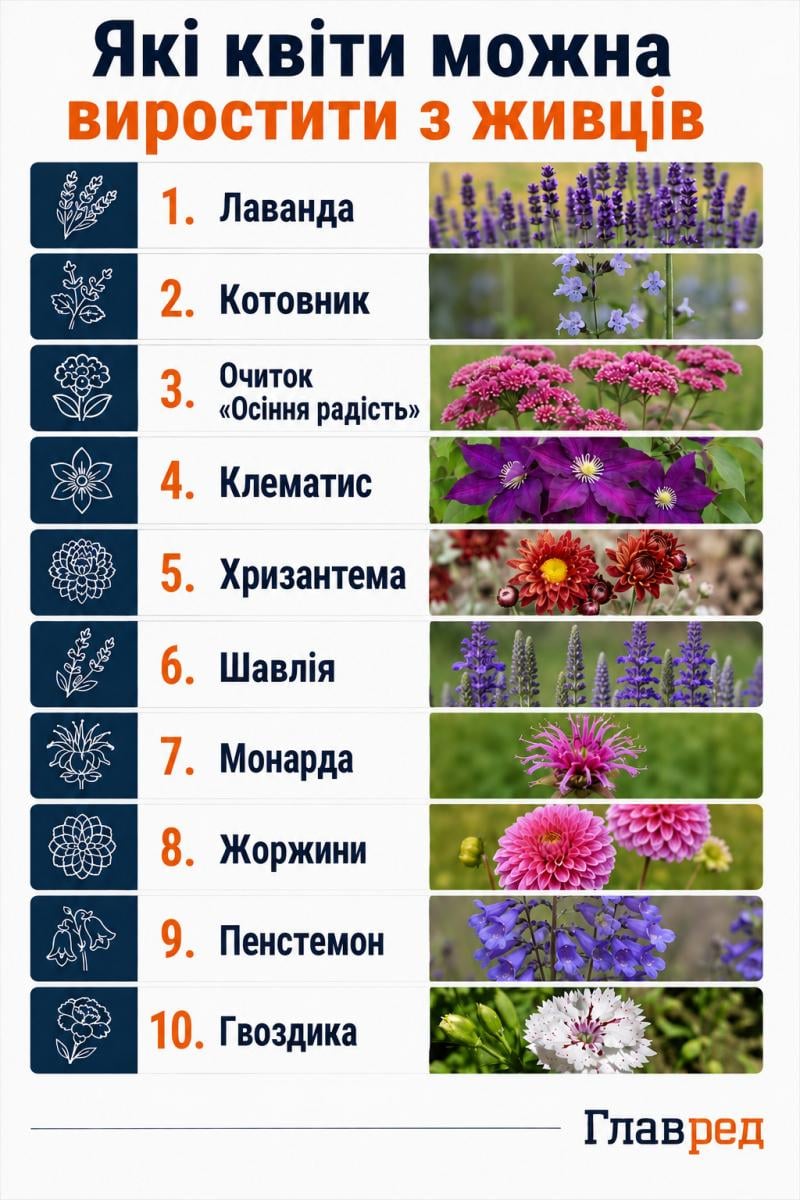 Які квіти можна виростити з живців