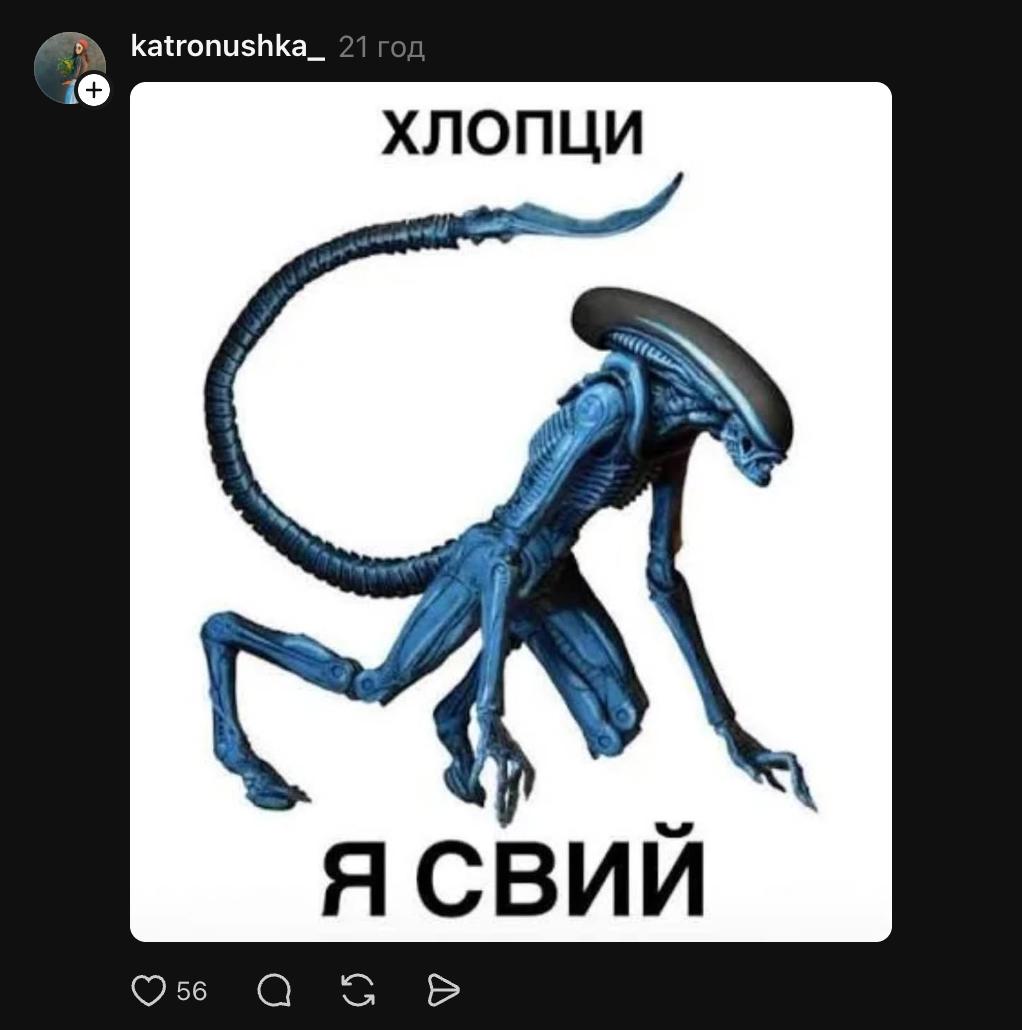 Украинцы троллят Софию Стужук Украинцы троллят Софию Стужук