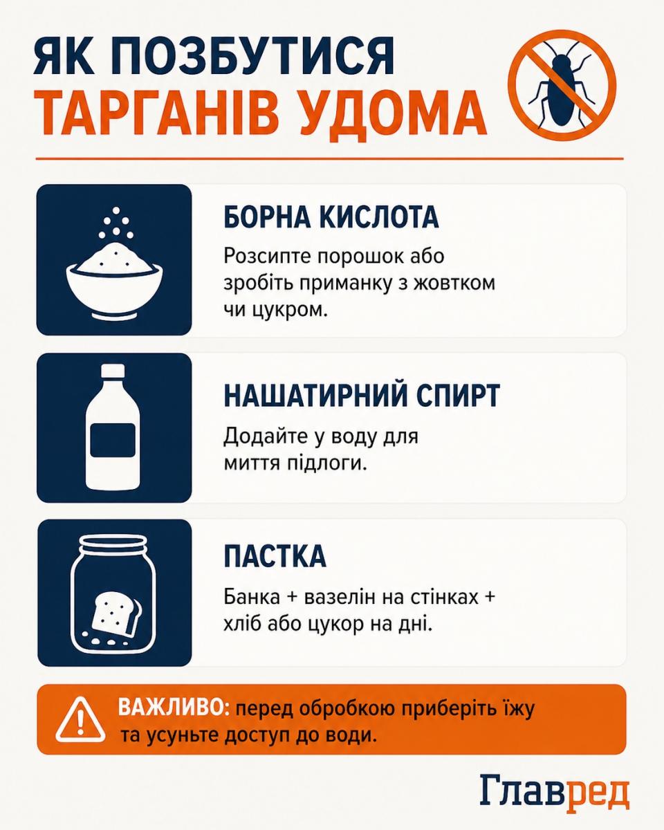 Як позбутися тарганів