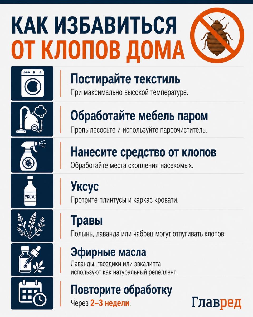 Как избавиться клопов