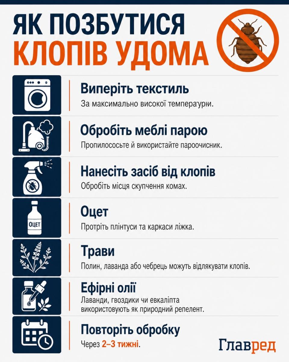 Як позбутися клопів вдома