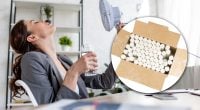 Зачем французы натирают окна мелом в жару: хитрый лайфхак, который работает