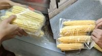 Як правильно заморозити кукурудзу на зиму — щоб зберегти її солодкий смак