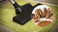 Одна ложка кориці в пилососі творить дива: секрет досвідчених господинь