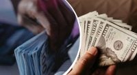 Евро продолжает стремительно падать: новый курс валют на 7 июля