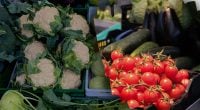 Превратятся в кашу: какие популярные овощи нельзя замораживать