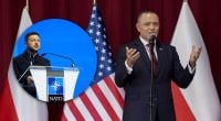 Навроцький поговорив із Зеленським та зробив несподівану заяву – що він сказав