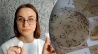 Ни уксус, ни сода: неожиданное средство от муравьев защитит дом