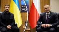 "Мы дискутировали": Навроцкий назвал встречу с Зеленским конструктивной