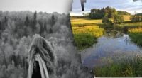 Народні прикмети 11 липня: що віщують погода, бджоли та нічні Стожари