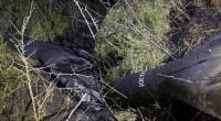 Российский "Шахед" залетел в Молдову и взорвался - что известно