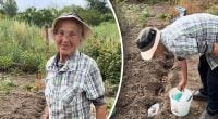 Другий урожай з'явиться восени: городниця розповіла, що посадити в липні