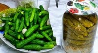 Огірки як у магазині — секретний інгредієнт для суперхрумких корнішонів
