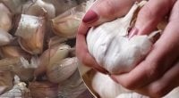 Шкірка сама зісковзне із зубчиків часнику за секунди: чим потрібно їх залити