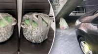 Взрывчатку спрятали в кастрюлях: СБУ сорвала двойной теракт в Ивано-Франковске