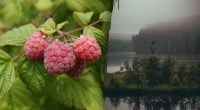 Народные приметы 22 июля — какие удивительные знаки природы подскажут будущее