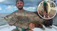 Рибалка виловив величезного 