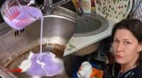 Сода и уксус оказались бессильны: чем лучше прочистить слив летом