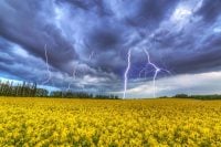 Україну накриє спека до +31 з грозами: коли погода різко зміниться