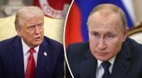 Трамп одним решением может положить конец войне России против Украины – The Hill