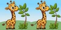 Тест на IQ: нужно найти 3 отличия на картинке жирафа за 15 с