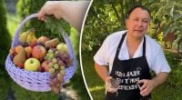 Почему нельзя есть яблоки до Спаса: священник раскрыл всю правду