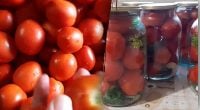 Что сделать, чтобы помидоры не трескались в банке: простые кулинарные лайфхаки